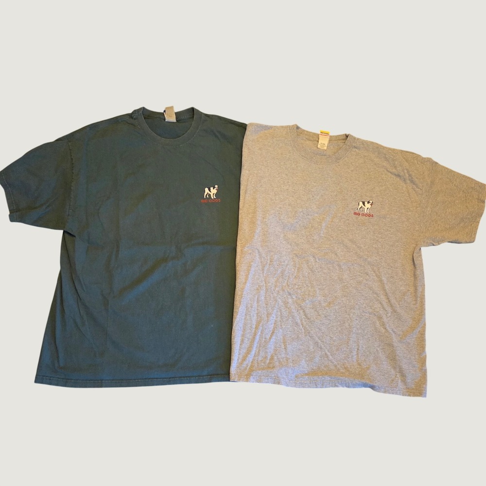 Vintage Big Dogs Graphic T-Shirts Lot of 2 Teal Gray XXL Basketball Football Y2K